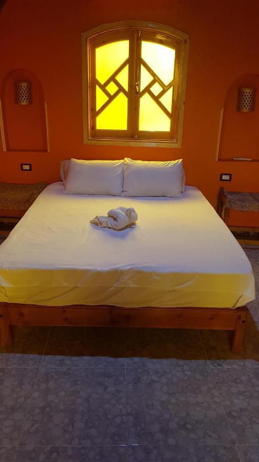 לוקסור Golden Palace Nile View - Appartment מראה חיצוני תמונה